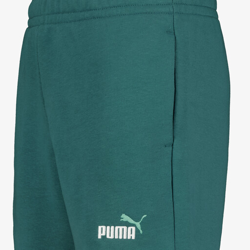 ESS 2 Color No. 1 Logo kinder short groen