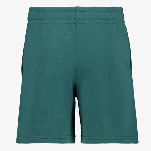 ESS 2 Color No. 1 Logo kinder short groen