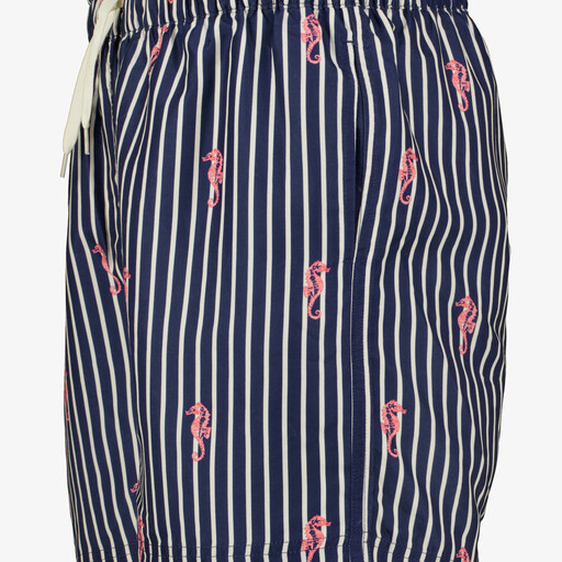 Heren zwemshort gestreept blauw