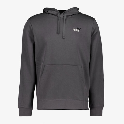Essentials Small No. 1 Logo heren hoodie grijs