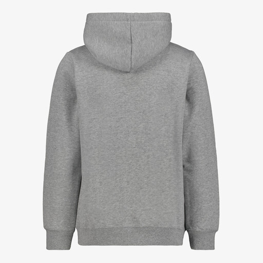 ESS 2 Color No. 1 Logo kinder hoodie grijs