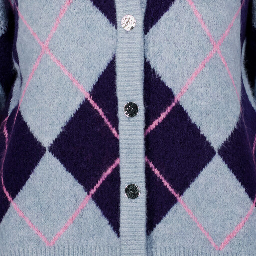Geruit dames vest blauw