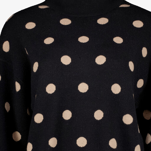 Dames trui met stippen zwart beige