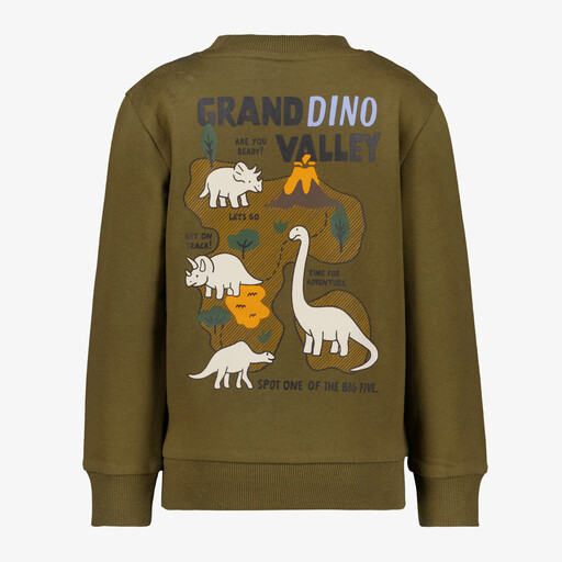 Jongens sweater met backprint groen