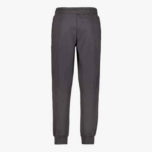 ESS 2 Color NO. 1 Logo FL CL heren joggingbroek grijs