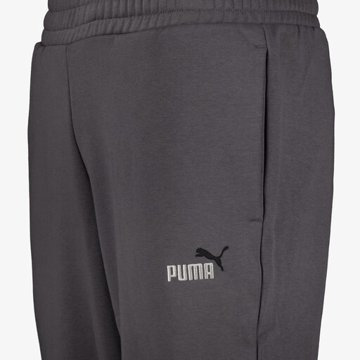 ESS 2 Color NO. 1 Logo FL CL heren joggingbroek grijs
