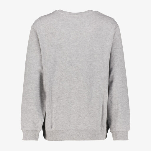 Name It jongens sweater met tijger opdruk