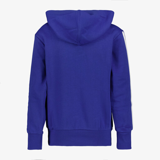 J 3S FL HD 225 kinder hoodie blauw