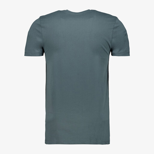 Heren T-shirt blauw-groen katoen ronde hals