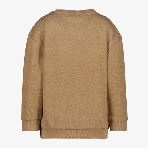 Jongens sweater met natuurprint beige