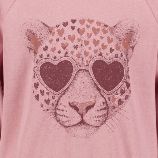 Name It meisjes sweater met luipaard roze