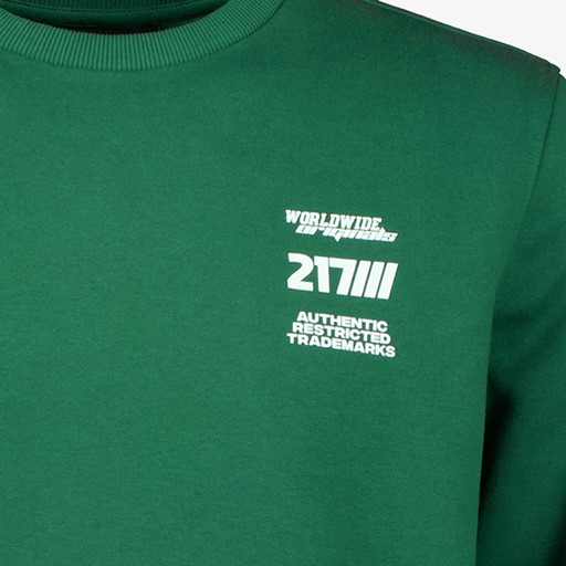 Heren sweater met opdruk groen