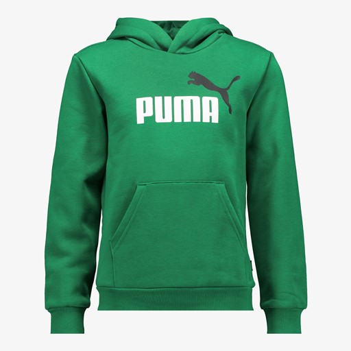 Essentials Big Logo kinder hoodie groen