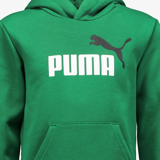 Essentials Big Logo kinder hoodie groen