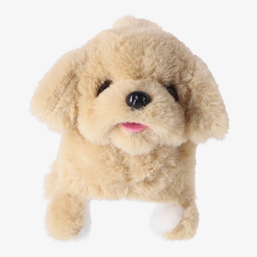 Loop en blaf hondje