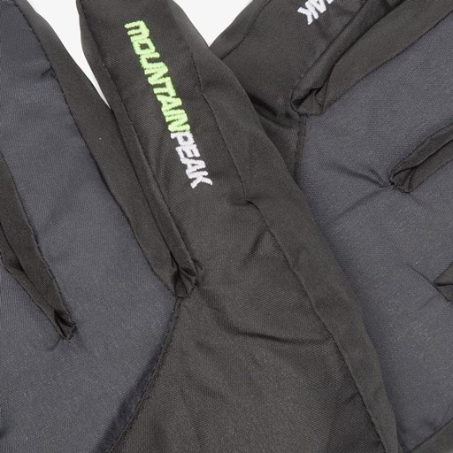 Heren skihandschoenen