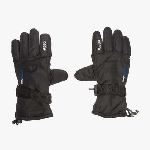 Heren skihandschoenen