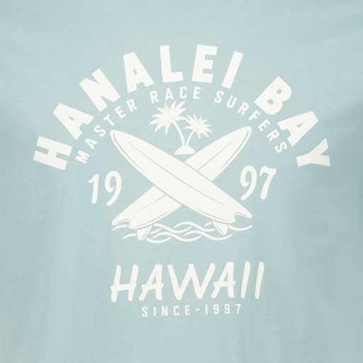 Heren T-shirt lichtblauw