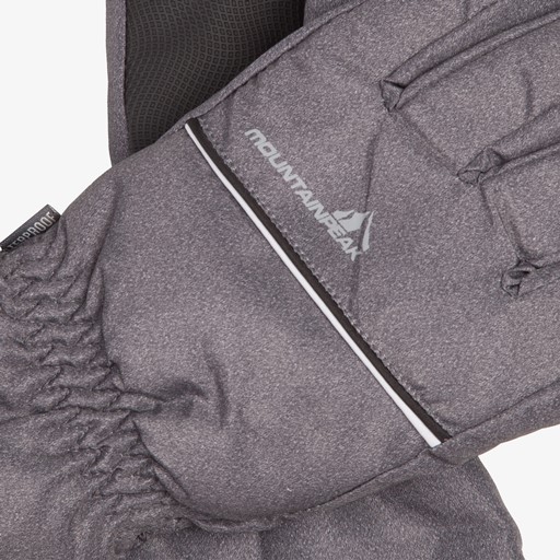 Heren skihandschoenen grijs