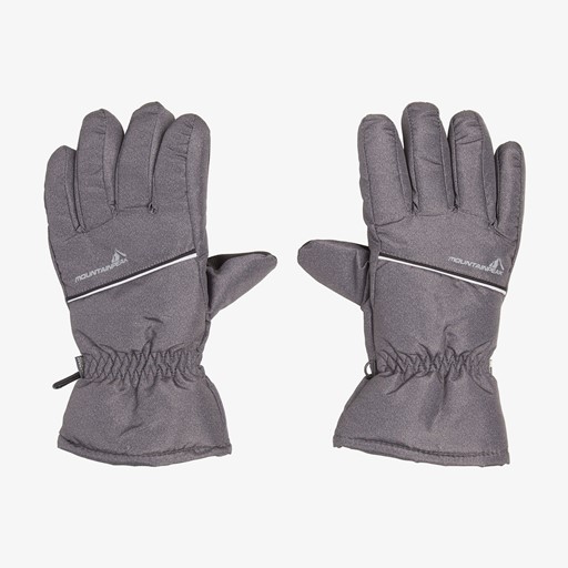 Heren skihandschoenen grijs