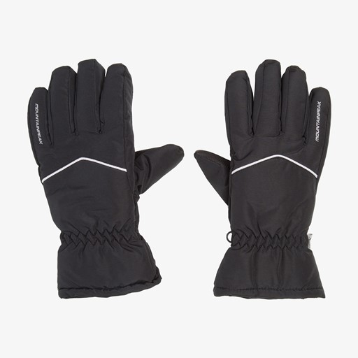 Heren skihandschoenen zwart