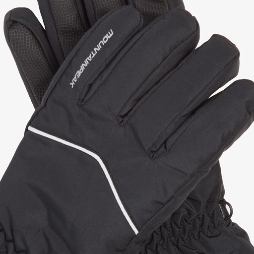 Heren skihandschoenen zwart