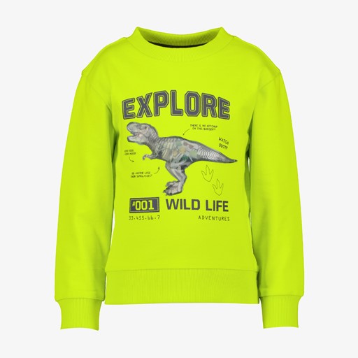 Jongens sweater geel met dino