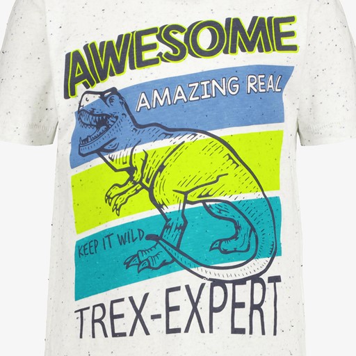 Jongens T-shirt met tyrannosaurus