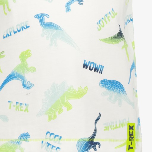 Jongens T-shirt wit met dino