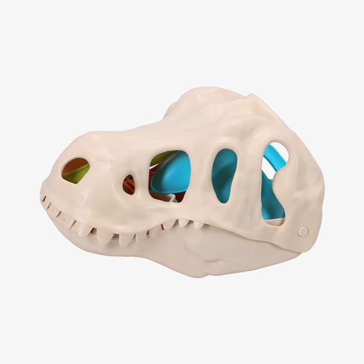 Dino strandspeelset