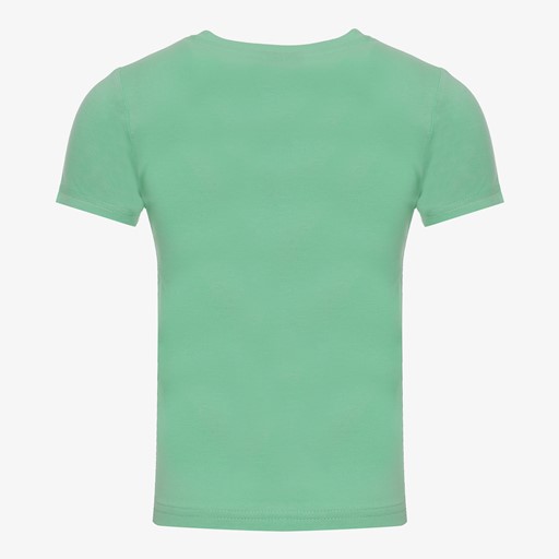 Jongens T-shirt met leeuw groen