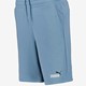ESS Col 2 Shorts 10 heren short