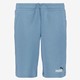 ESS Col 2 Shorts 10 heren short
