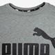 ESS NO1 heren T-shirt grijs