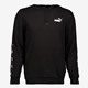 ESS+ Tape heren hoodie zwart