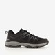 Heren wandelschoenen categorie A