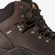 Leren heren wandelschoenen cat. B