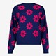 Gebreide dames trui blauw