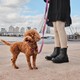 Zwartemeisjes veterboots met gouden studs