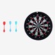 Dartboard mini