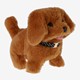 Loop En Blaf Hondje