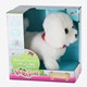 Loop En Blaf Hondje