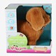 Loop En Blaf Hondje
