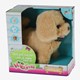 Loop En Blaf Hondje