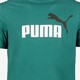 ESS 2 Col Logo heren T-shirt groen