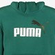 ESS Col 2 Big Logo kinder hoodie groen