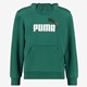 ESS Col 2 Big Logo kinder hoodie groen