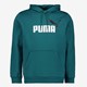 Essentials Big Logo heren hoodie groen