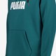 Essentials Big Logo heren hoodie groen
