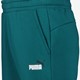 Ess 2 Col Logo heren joggingbroek groen